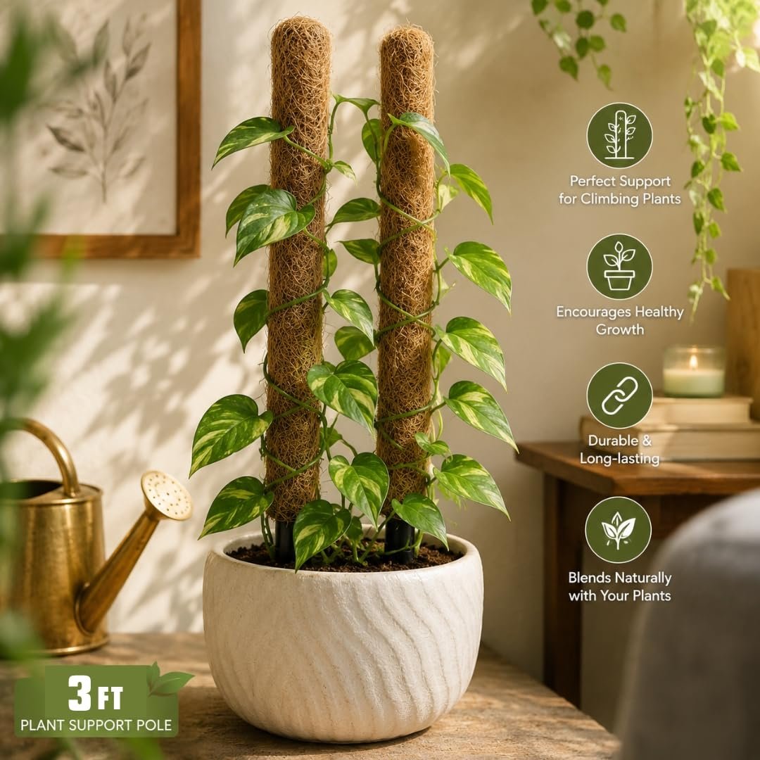 Lavesh Natural Coir Moss Stick for Climbing Plants 3 Feet - Image 3