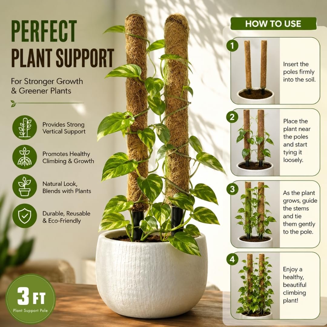 Lavesh Natural Coir Moss Stick for Climbing Plants 3 Feet - Image 2