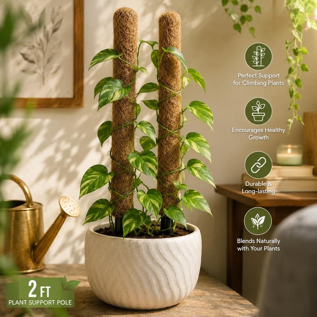 Lavesh Natural Coir Moss Stick for Climbing Plants 2 Feet - Image 3