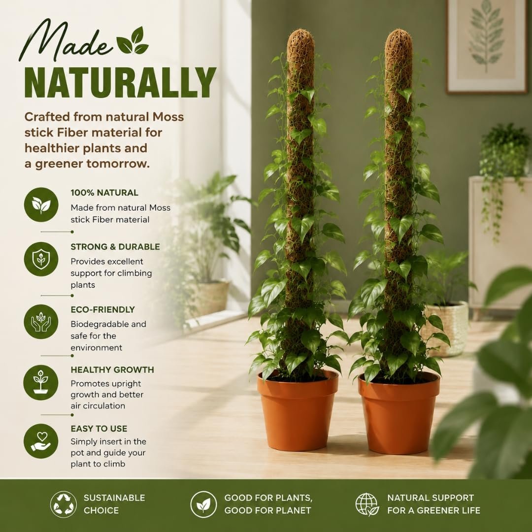 Lavesh Natural Coir Moss Stick for Climbing Plants 2 Feet - Image 2